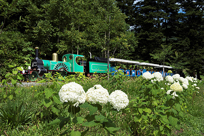 グラスゴートレイン