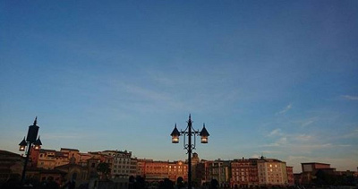 ハピネス・オン・ハイの中止基準