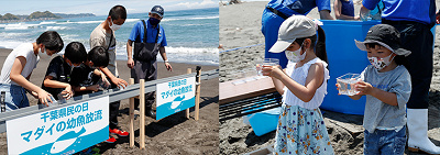 鴨川シーワールド 6月のイベント