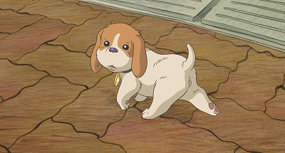 コロの大さんぽ