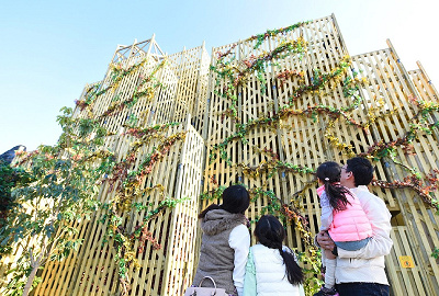 迷宮森殿 ITADAKI