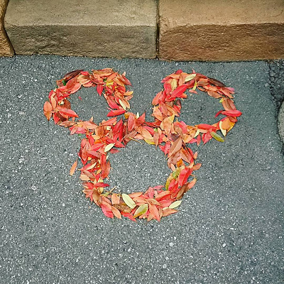 隠れミッキーを見つけよう♪