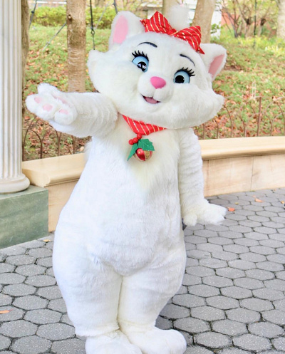 ディズニー】マリーちゃんのプロフィール＆グッズ！『おしゃれキャット