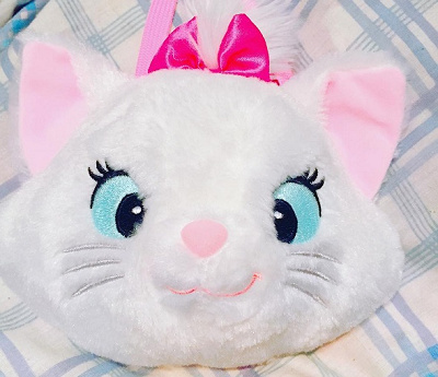 マリーちゃんのパスケース