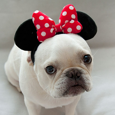 ミニーカチューシャ着用イメージ