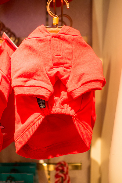 ペット用ミニーパーカー(お腹側)