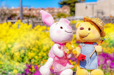 必見】ディズニーのぬいもーずとは？ディズニーストア限定グッズ