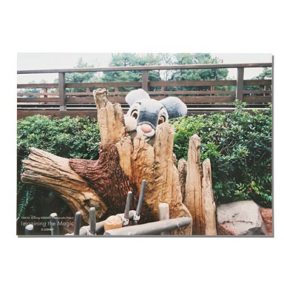 写真 2023年12月07日(木)発売（イマジニング・ザ・マジックグッズ）