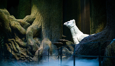 ハリポッターの鳥 不死鳥 | Harry Potter Wiki | Fandom