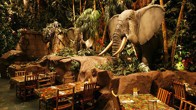 レインフォレスト カフェ