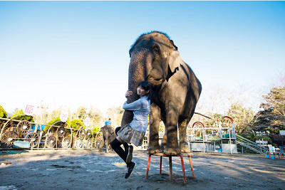 優しく熱い思いにあふれたリニューアルが完了！