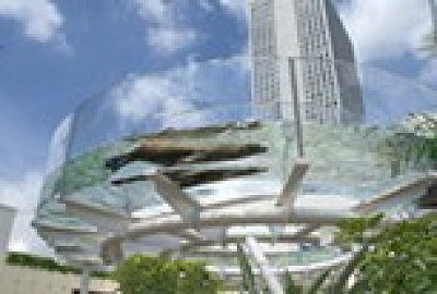 頭上にアシカ!サンシャインアクアリング