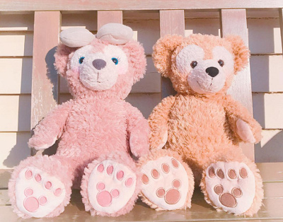 体験談】誕生日サプライズ！ディズニーで素敵な思い出を友達や彼氏彼女