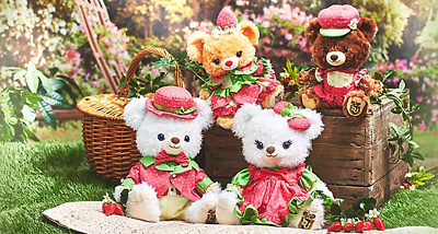 イチゴコスチューム