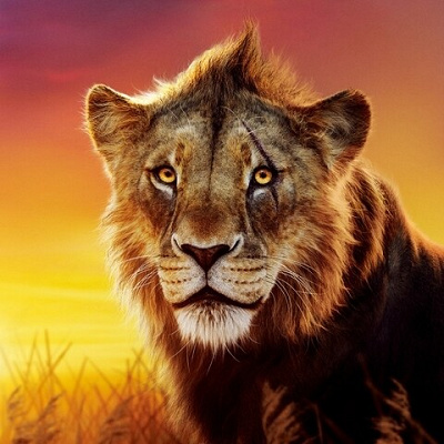 タカ（後のスカー）