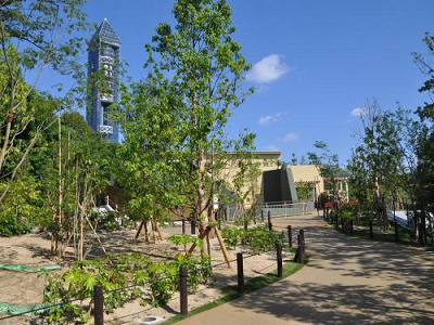 新しく作られた「ゴリラ・チンパンジー舎」