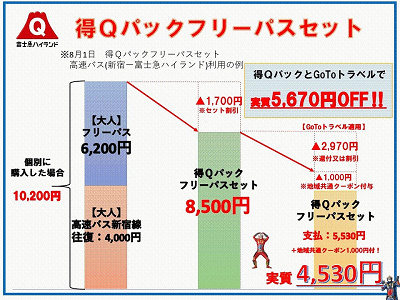 得Qパックフリーパスセット