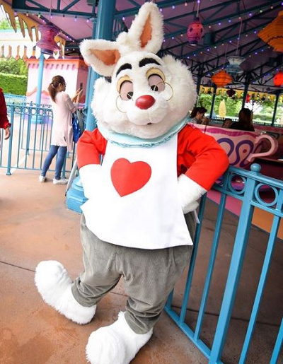 ホワイトラビット