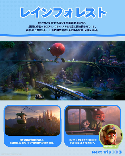 レインフォレスト地区