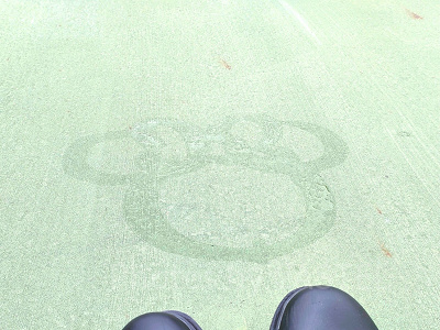 足元にミニーが！