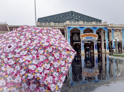 雨の日のディズニー