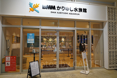 かりゆし水族館入口