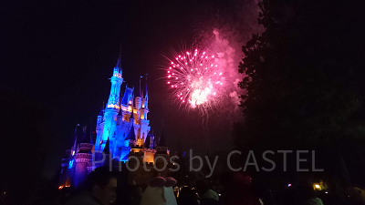 ディズニーランドの花火