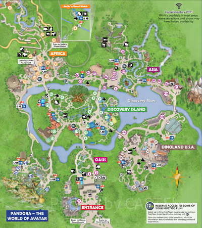 アニマルキングダムの最新地図