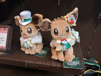 ポケパークカントーのお土産グッズおすすめ17選！ピンズ入りモンスター