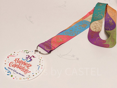 筆者所有のお宝ディズニーグッズ紹介！海外パークの超レアグッズも！ 