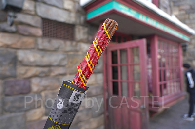 ホグワーツ4寮チュリトス（グリフィンドール）