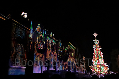 ショーの演出に合わせて点灯するクリスマスツリー