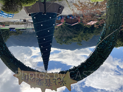 光と音楽の街　巨大なツリー