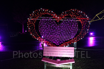 パートナーとの距離も近付くカップルシート