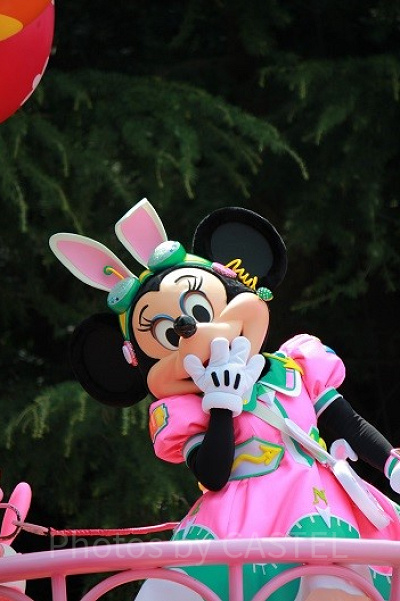 ミニーちゃんのように優しい看護師さんが対応してくれます。