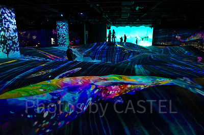 「鼓動する大地」に泳ぐクジラ