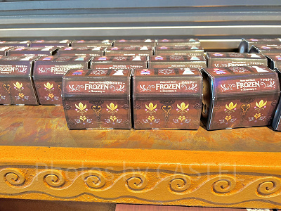 アクセサリーセット(アナとエルサのフローズンジャーニーグッズ)