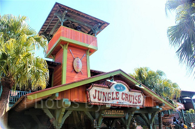 ジャングルを大冒険