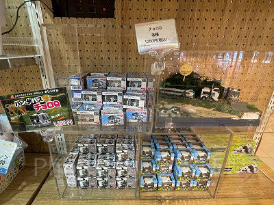 アドベンチャーワールド限定チョロＱ