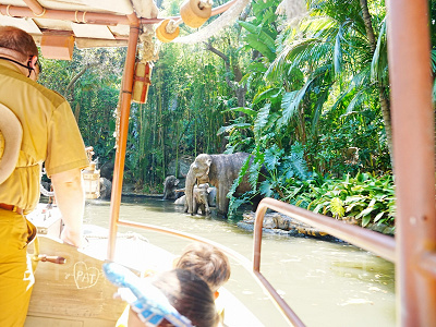 カリフォルニアアナハイムディズニーのアトラクション：ジャングル・クルーズ