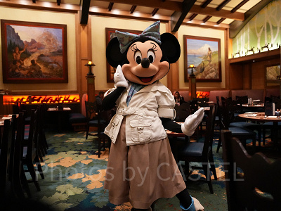 カリフォルニアアナハイムディズニー：気候・冬の天気