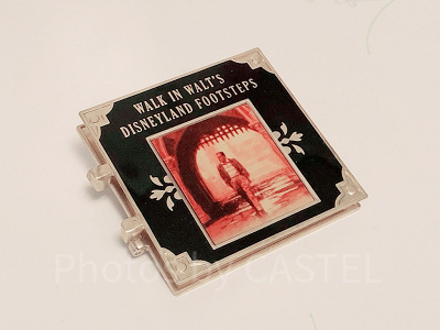 アナハイムディズニーランドゲストツアー参加記念ピンバッジ