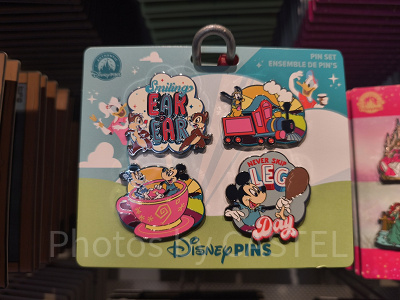 アナハイムディズニーのピンバッジ：パークモチーフ