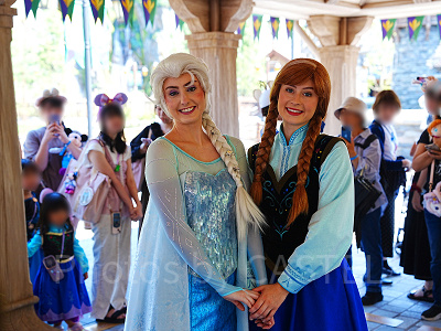 ディズニー　ファンタジースプリングス アナと雪の女王 アナとエルサ　まとめ売り ファンタジースプリングスで会えるキャラクター&グリーティング場所