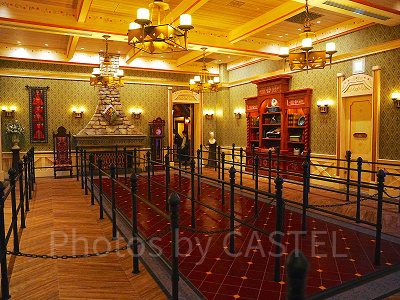 アナとエルサのフローズンジャーニーのキューライン