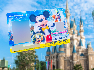 年間パスポートの価格