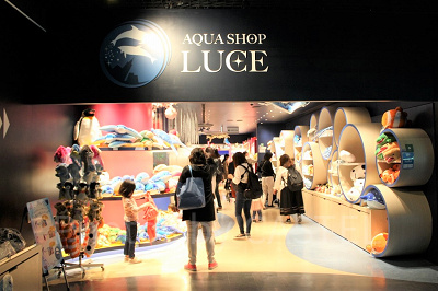 アクアショップ ルーチェ