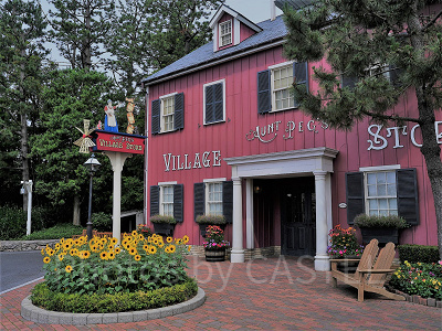 アーント・ペグズ・ヴィレッジストア