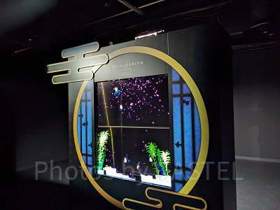 アートアクアリウム銀座　フォトスポット