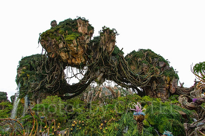 アバターエリア